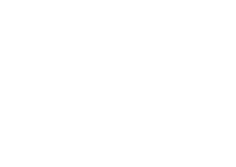 viktskivan.se